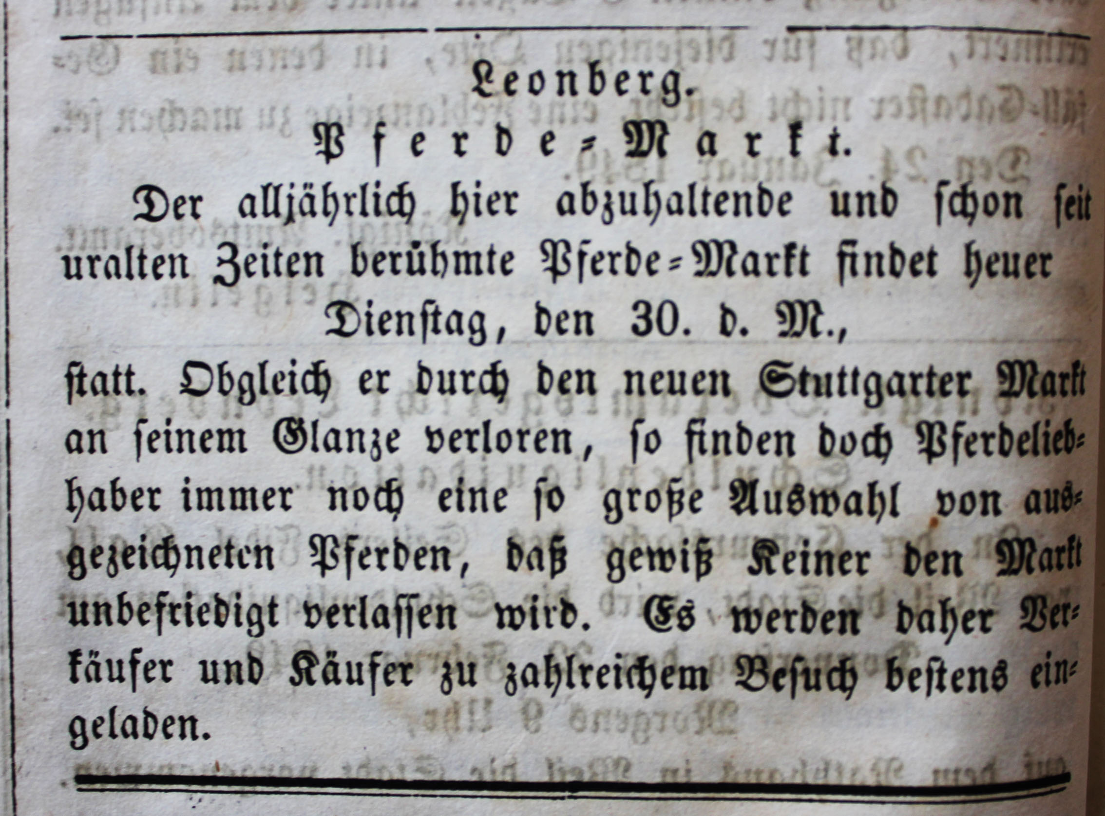 Pferdemarkt Anzeige